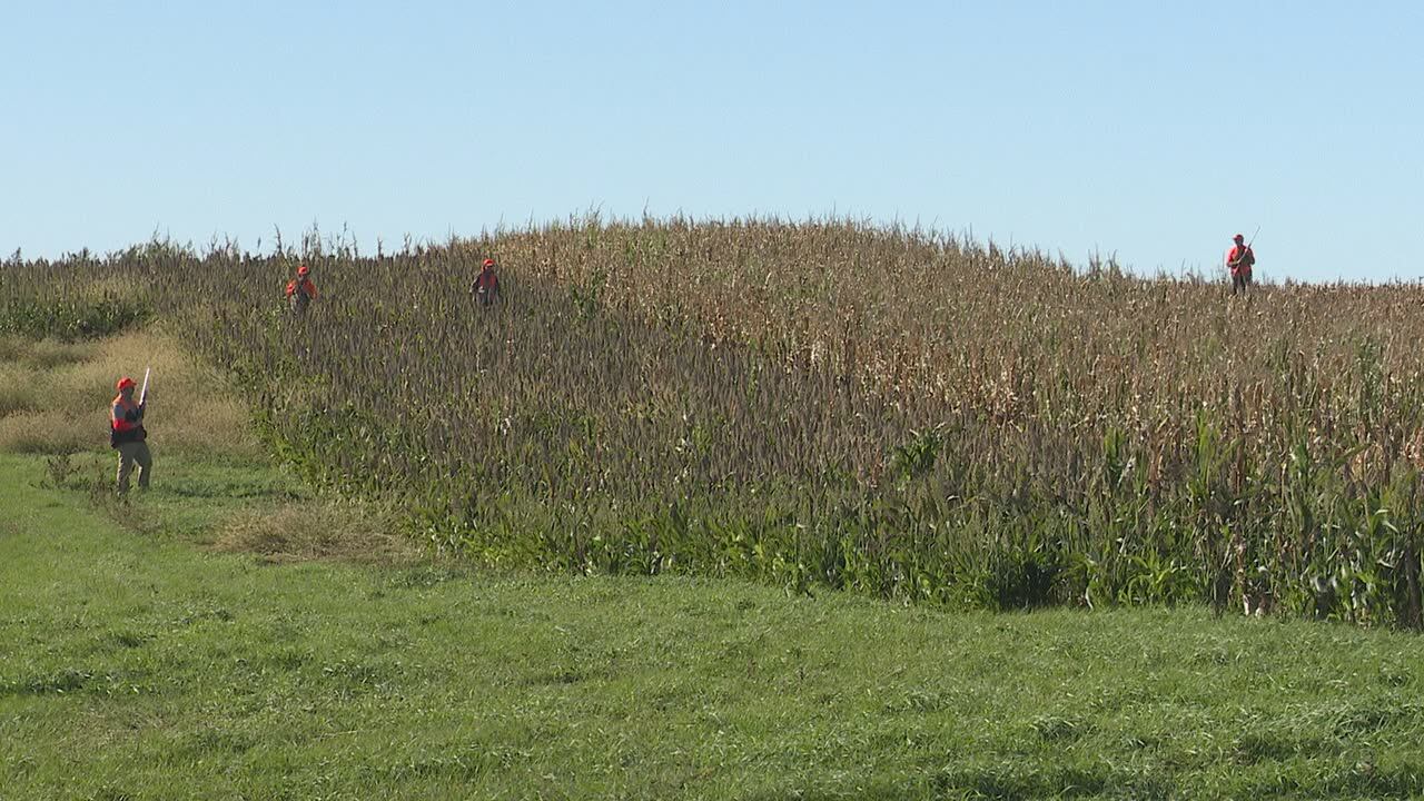 South Dakota pheasant season opens to keen hunters