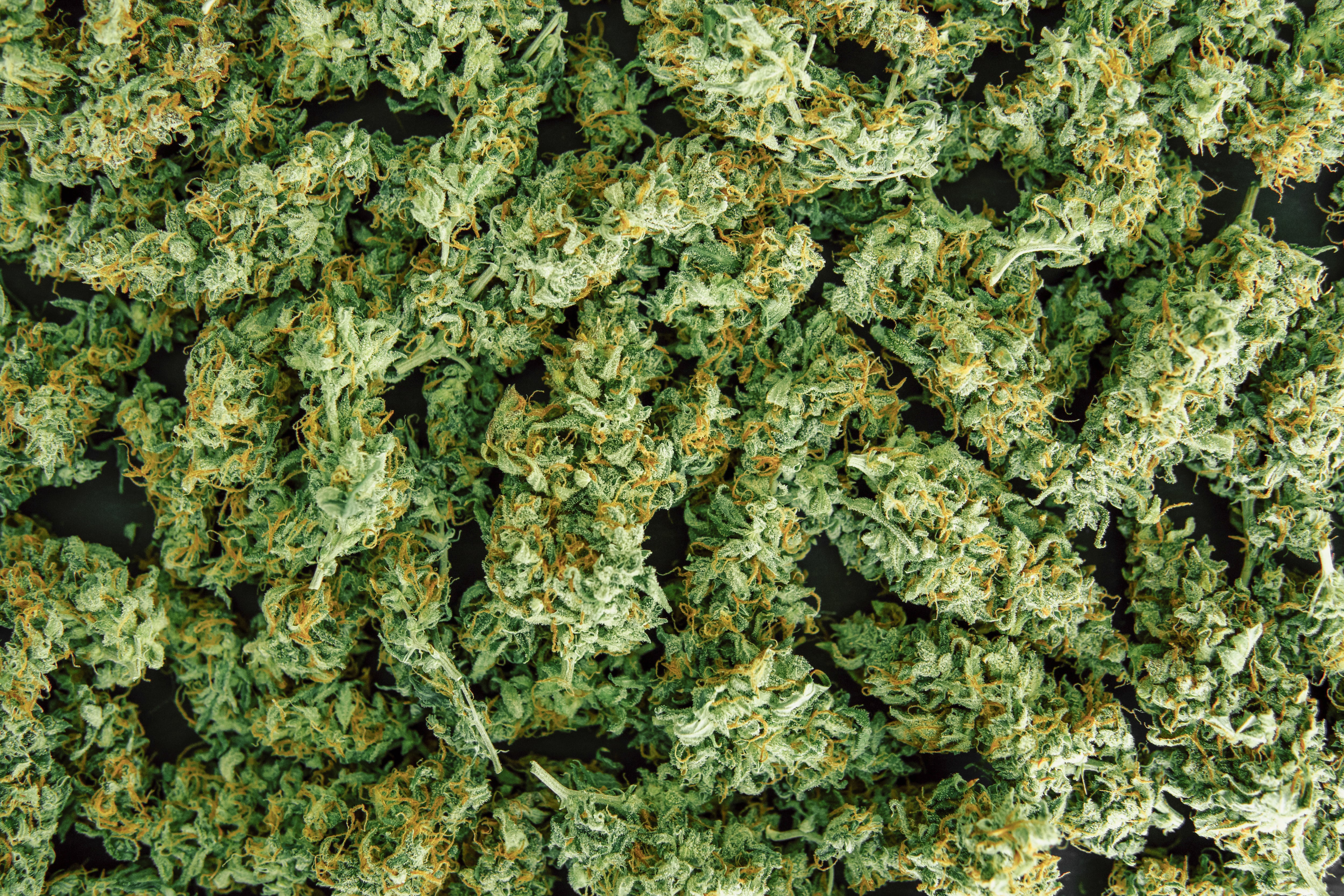 Federal marijuana rescheduling will not impact South Dakota medical program