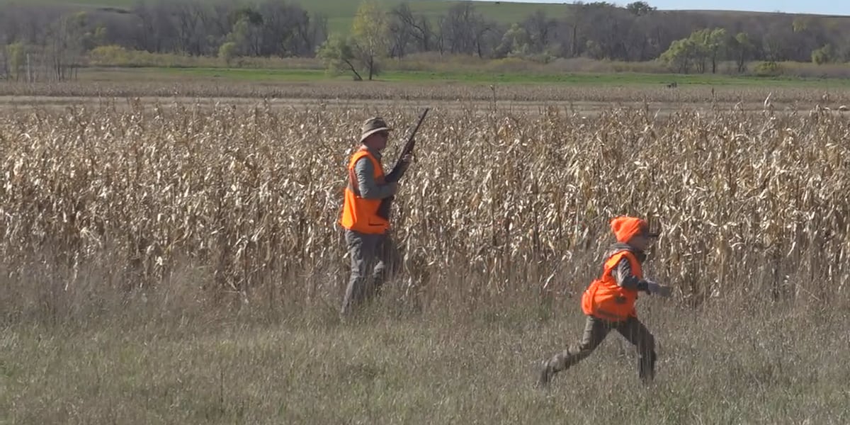 South Dakota Game, Fish and Parks hosting virtual class to prepare for Pheasant Opener