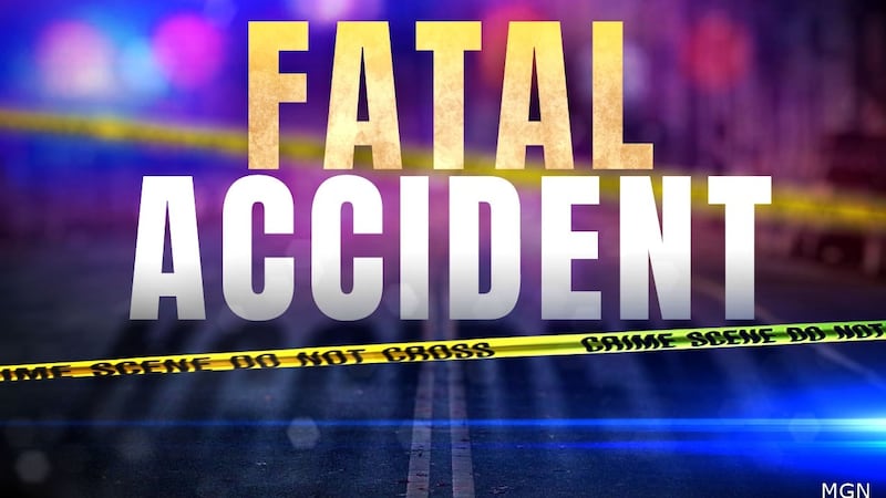 Two people are dead after a UTV crash in Mineral Wells, West Virginia.