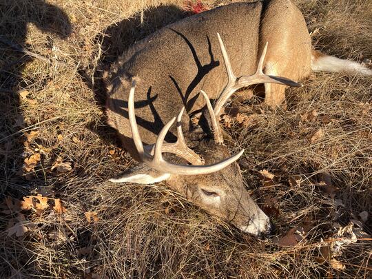 South Dakota big game hunters are having increasing difficulty finding butchers who will skin,...