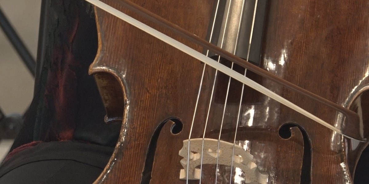 National Music Museum adds centuries-old cellos to collection