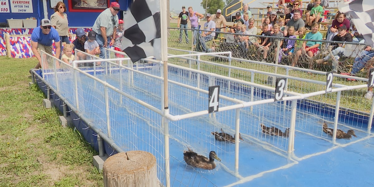 Duck Racing Event Duck races make a splash at the Brown County Fair