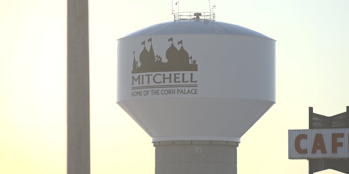 City of Mitchell investigating potential cybersecurity incident