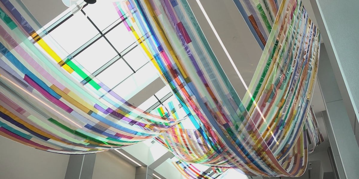 FSD installs new artwork as they make progress on expansion