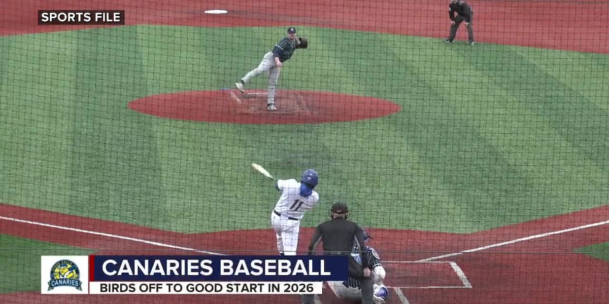 Canaries have lots of new faces on this year's roster