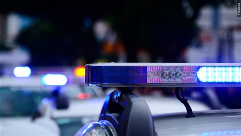 7-week-old dead after incident involving family dog in Livermore Falls, police say