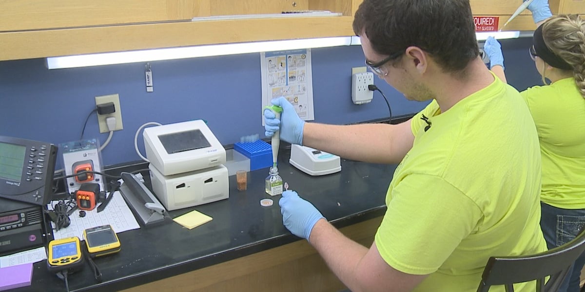 Wnv Ramp Testing Lab Notebook RAMP testing quickly determines if a mosquito has West Nile virus
