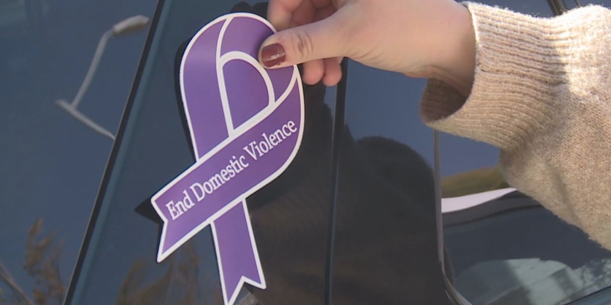 Dv Ribbon Color Law enforcement displays purple ribbons for Domestic Violence Awareness