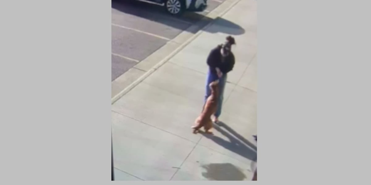 Employee expresses concerns over dogs’ treatment at Sioux Falls kennel Employee expresses concerns over dogs’ treatment at Sioux Falls kennel