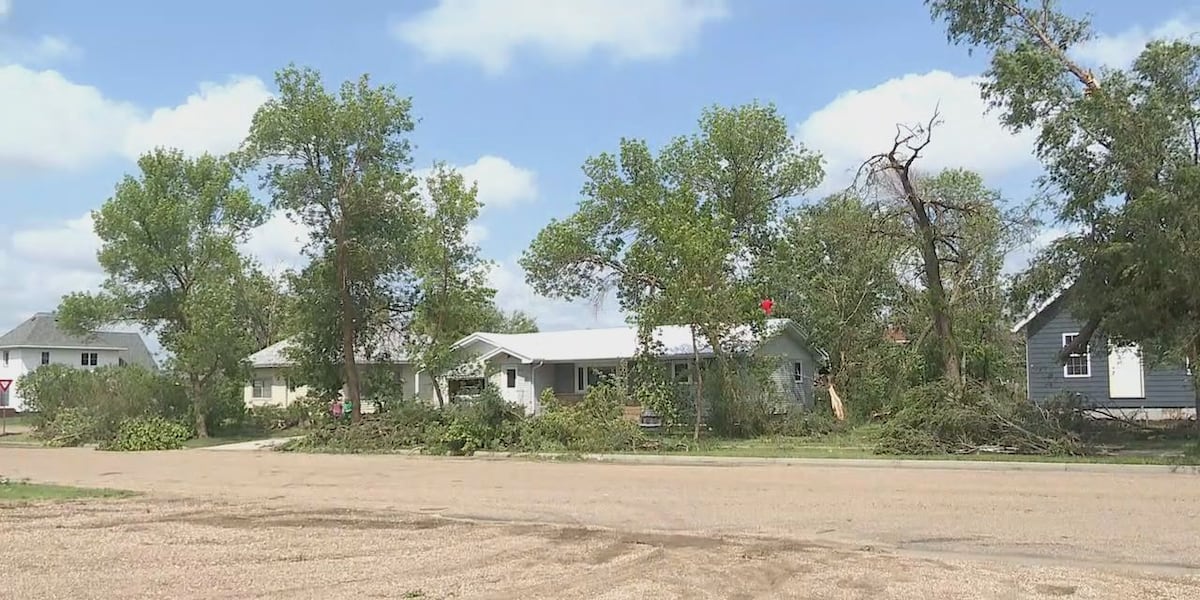Insult to injury: Scams to be aware of after severe weather