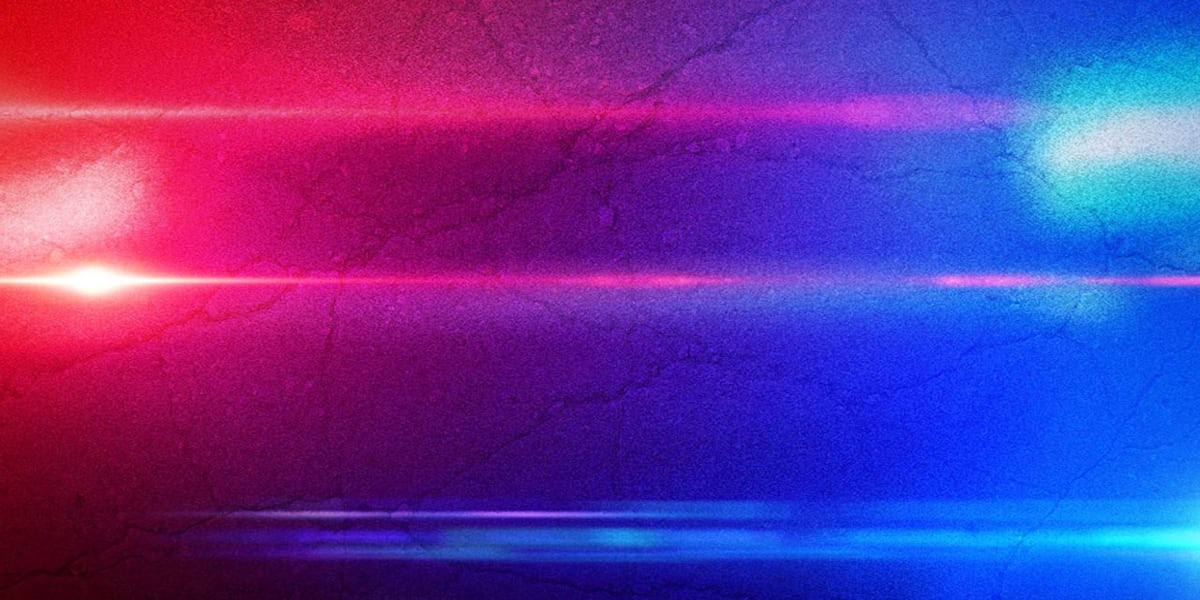 Arrest News Image