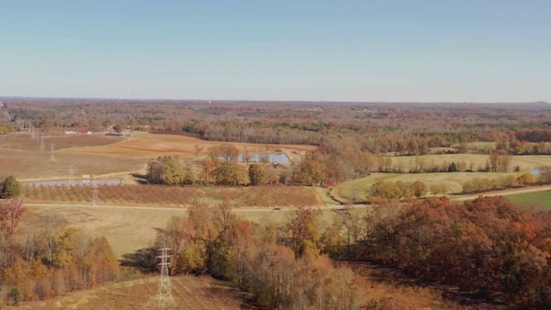 Minnesota woman with Sioux Falls nonprofit ties under investigation for animal neglect