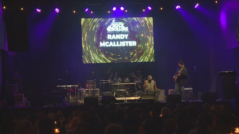 Musicians, DJs, venues and more inducted into SD Rock & Rollers Hall of Fame