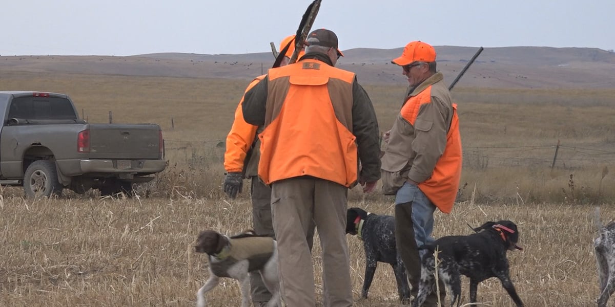 Four extra weekly flights added at Pierre Regional Airport for hunting season