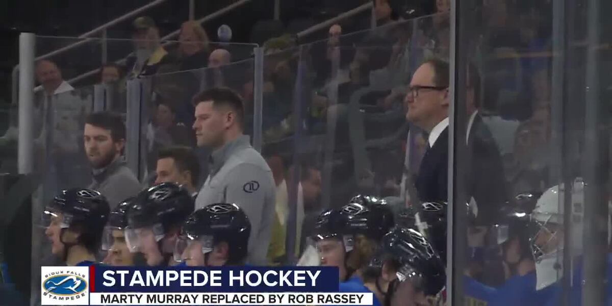 Stampede hire new coach Rob Rassey