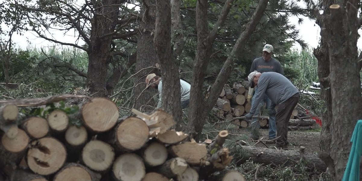 Farm business & nonprofit finds community in storm cleanup