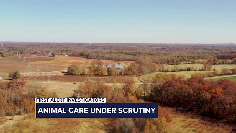 Law enforcement discovered animal carcasses, bones, and neglected live animals at a property...